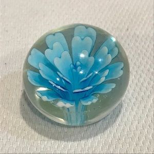 Glass Blown Paper Weight